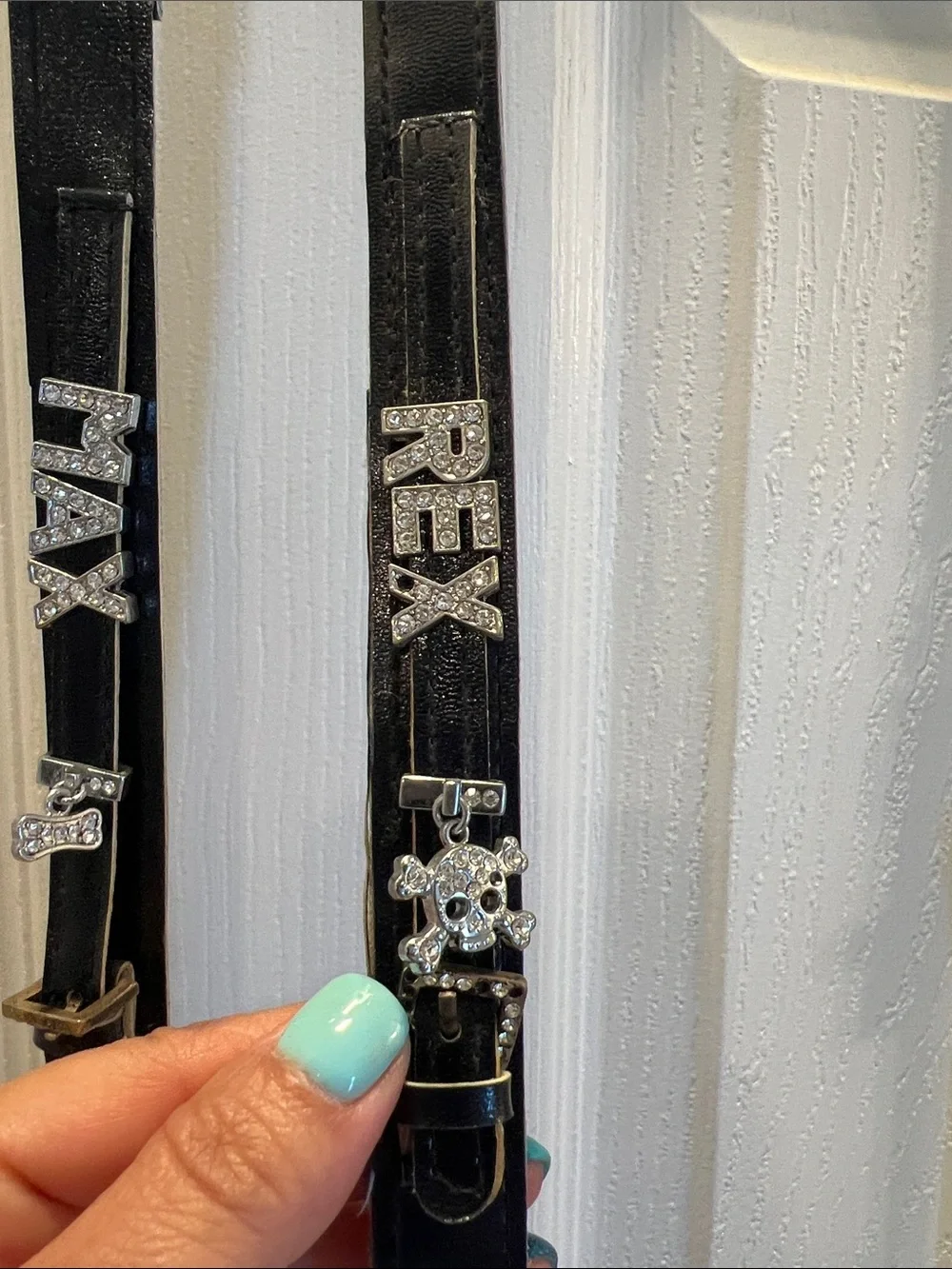Dog Leashes that can be Personalized